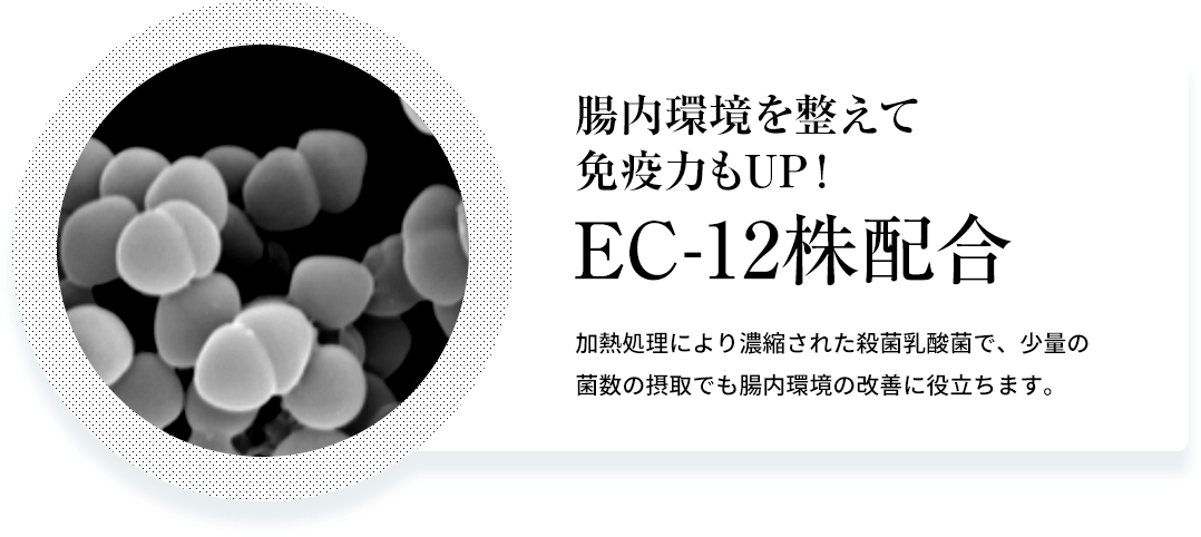 腸内環境を整えて免疫力もUP!「EC-12株配合」加熱処理により濃縮された殺菌乳酸菌で、少量の菌数の摂取でも腸内環境の改善に役立ちます。